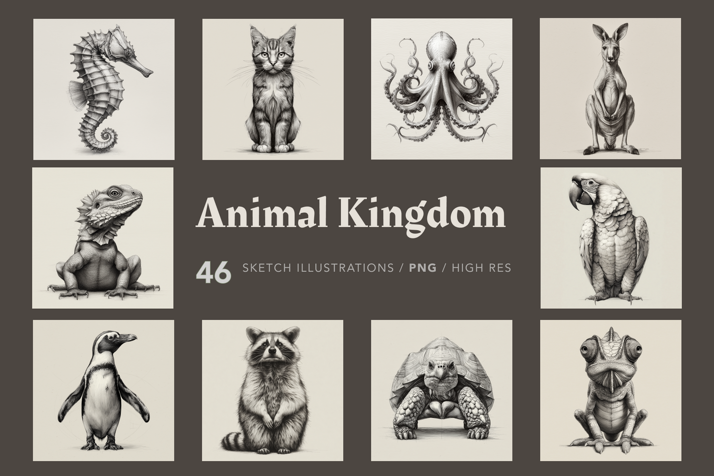 Collection of black and white animal illustrations with 'Animal Kingdom' text.