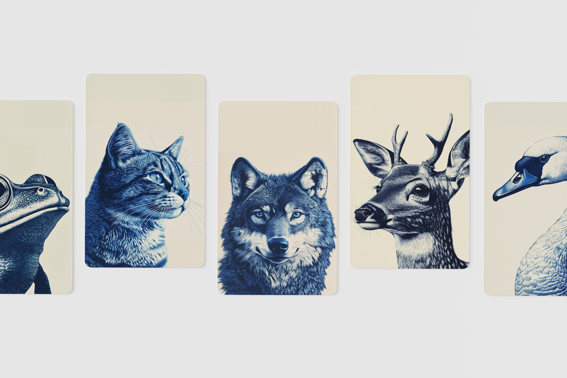 animal cards