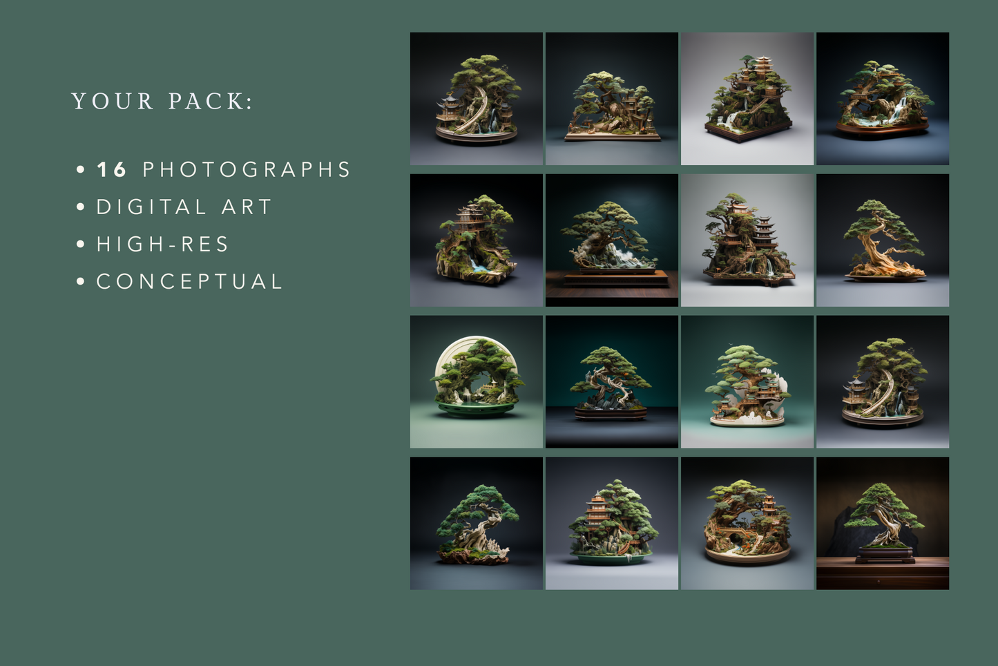 Bonsais - Typedreams