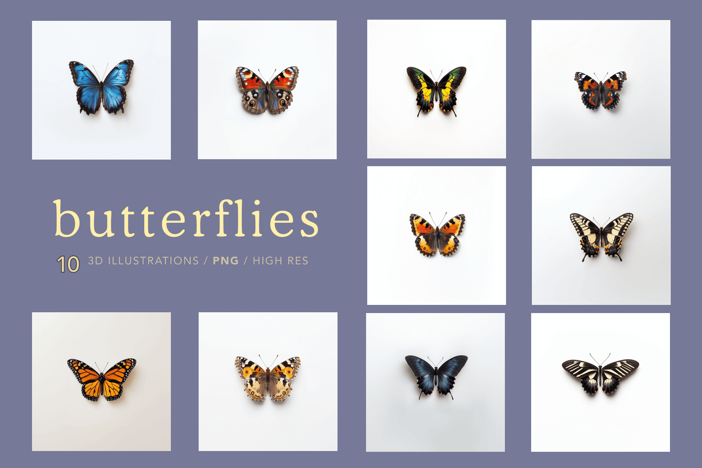 Butterflies - Typedreams