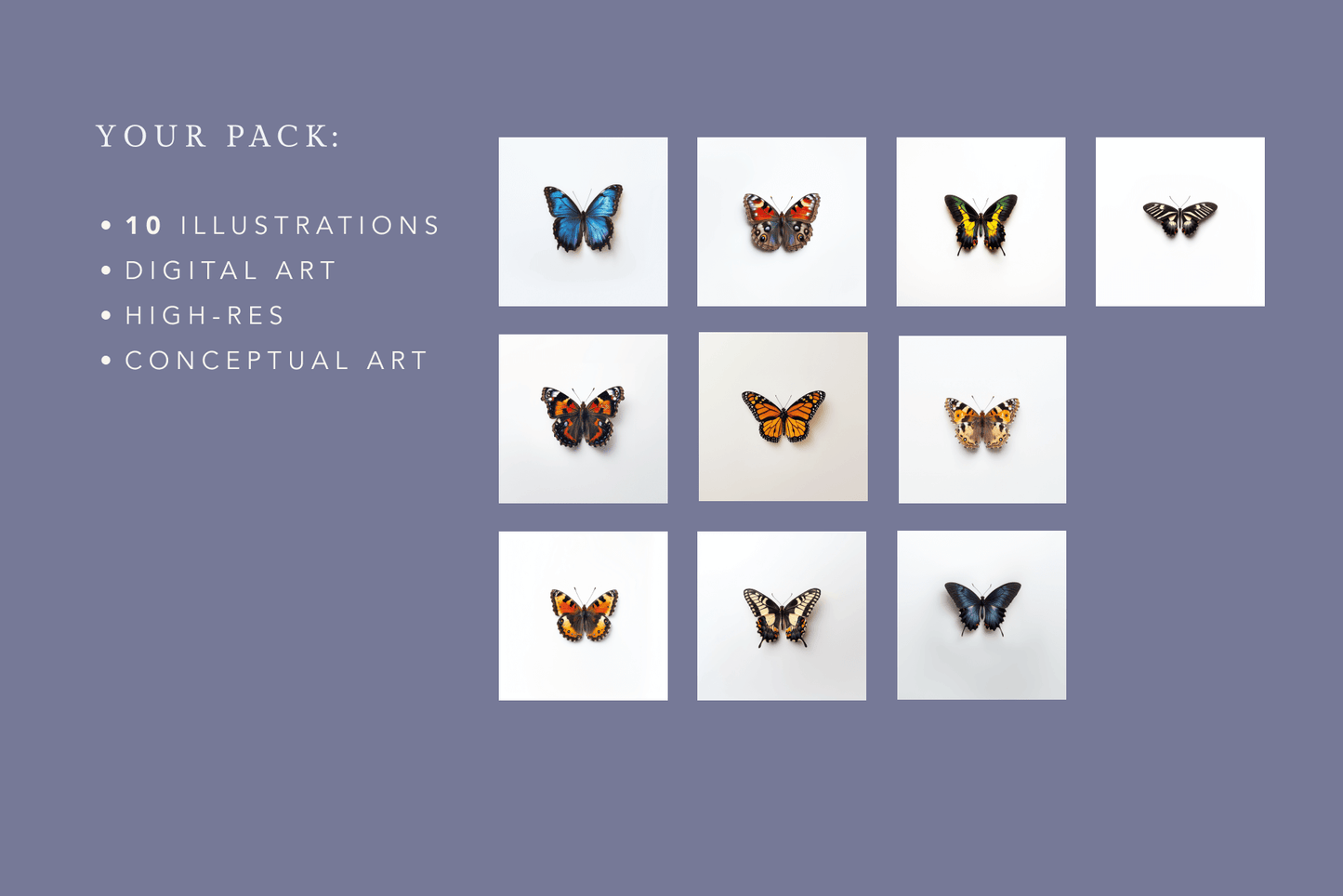 Butterflies - Typedreams