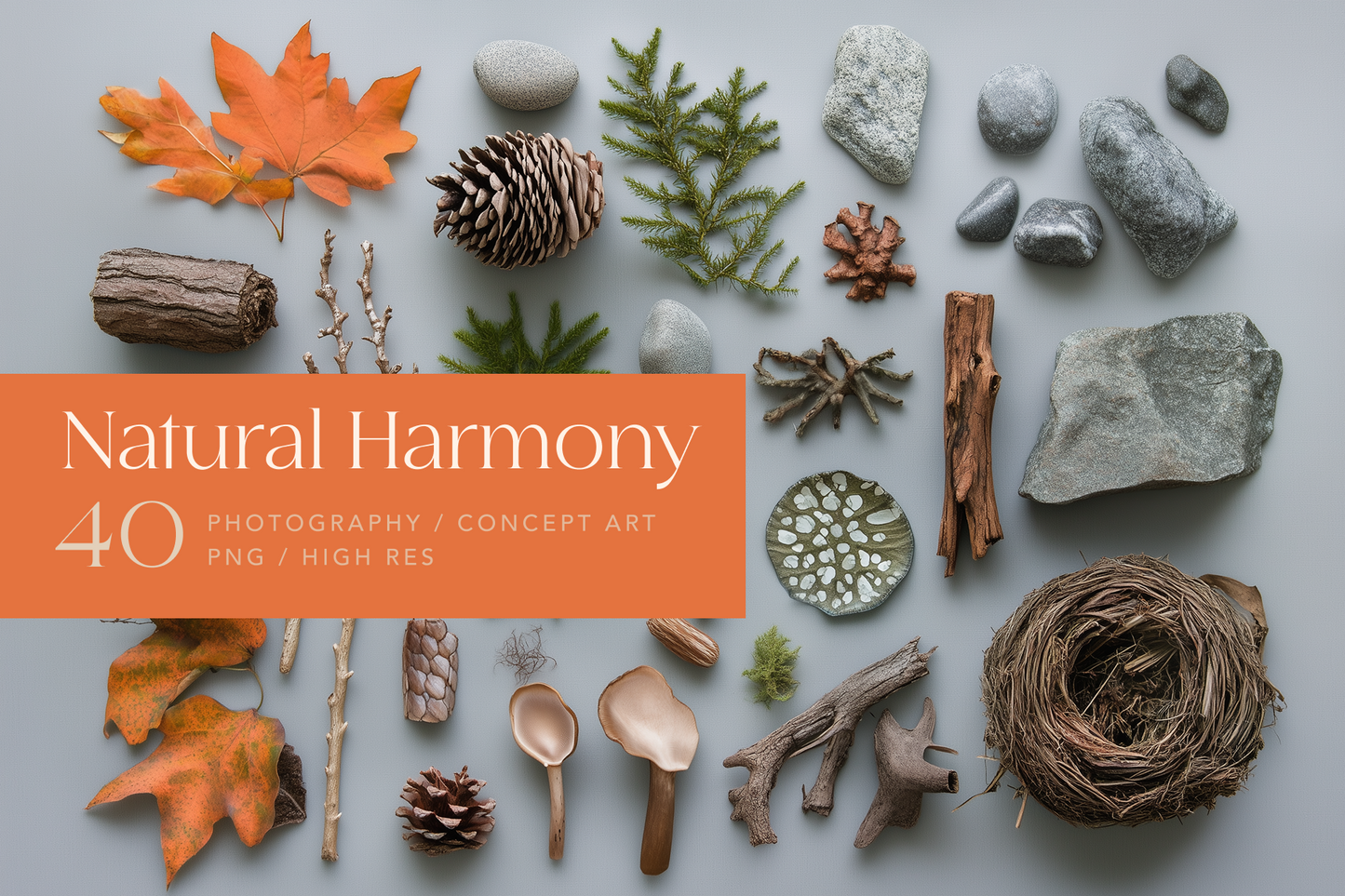 Nature knolling