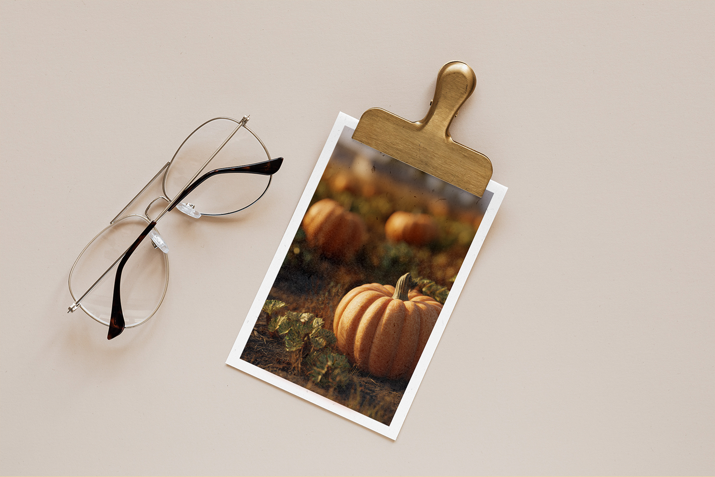 Polaroid photo of pumpkins on a clipboard with eyeglasses beside it