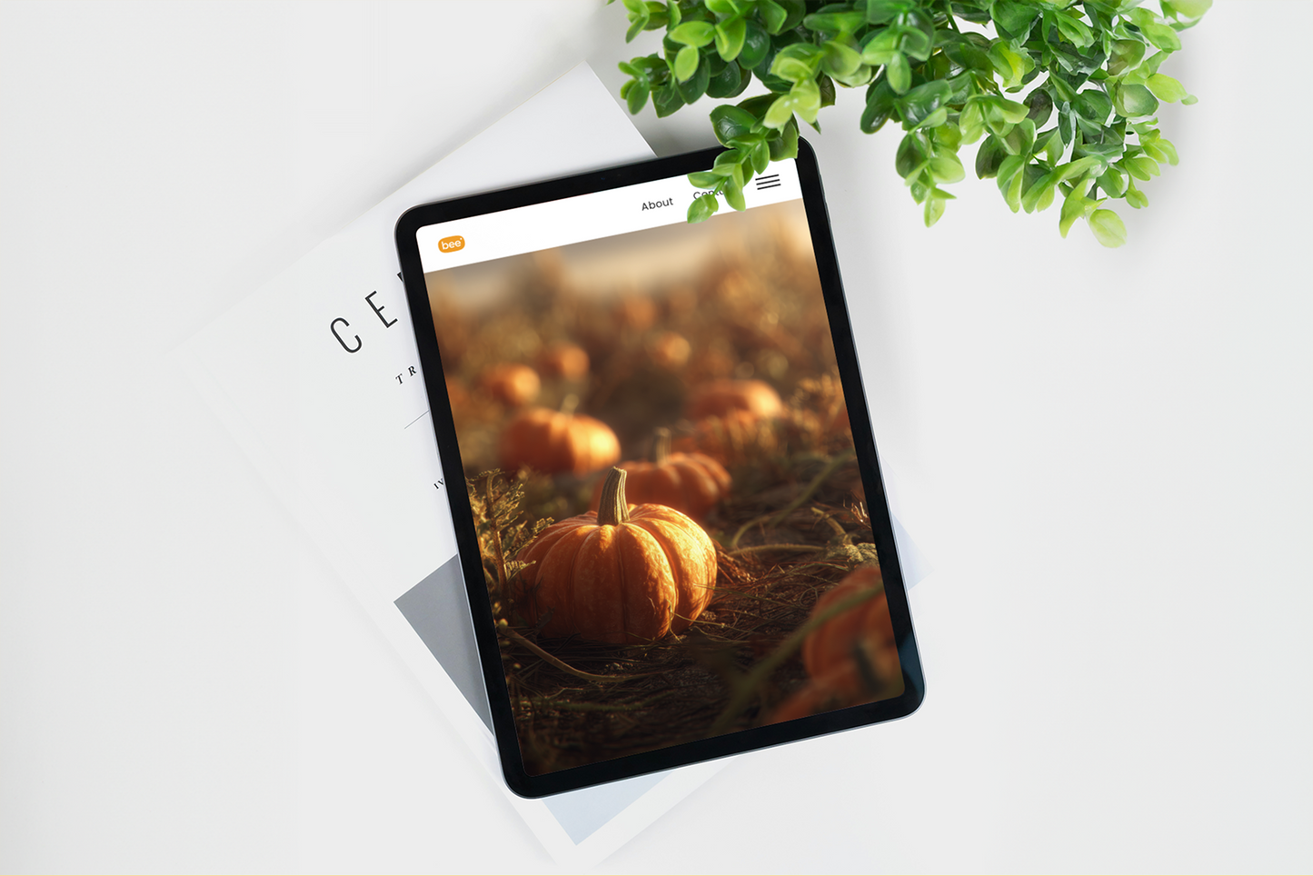 Tablet displaying an image of pumpkins on a white surface with a plant in the corner.
