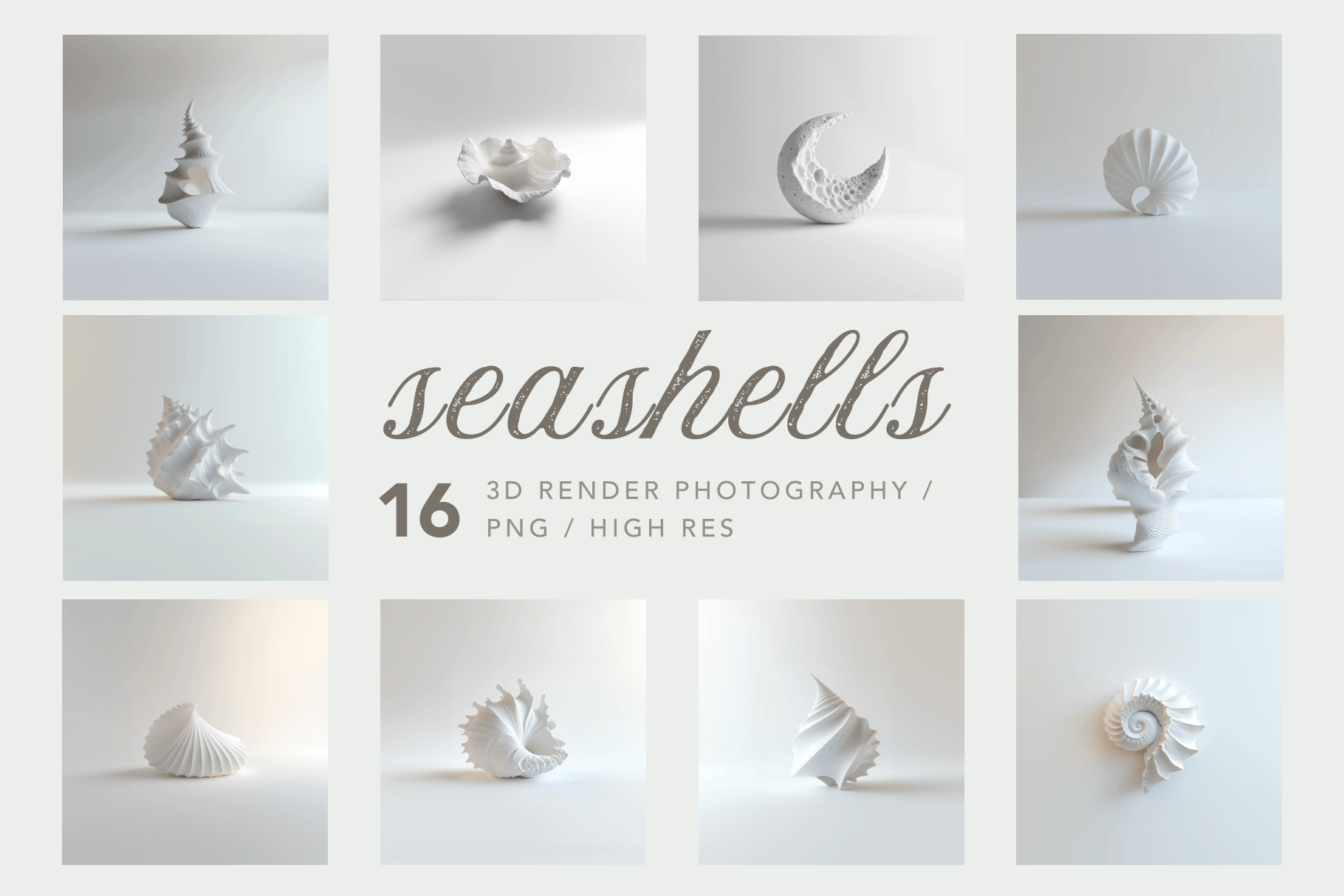 Seashells - Typedreams