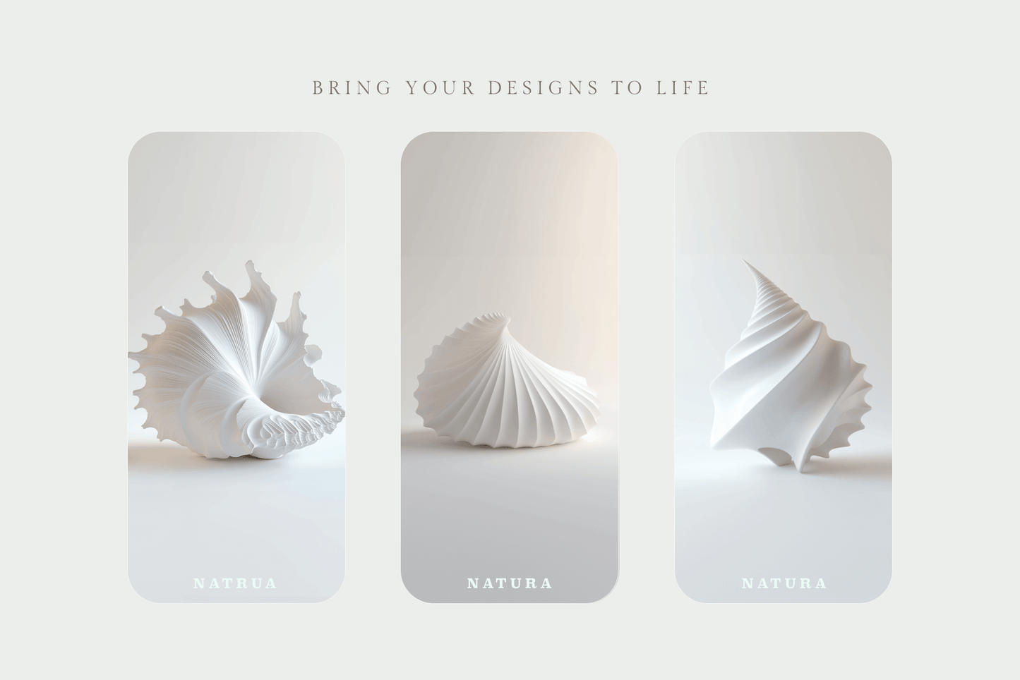 Seashells - Typedreams