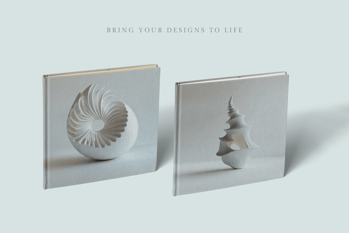 Seashells - Typedreams