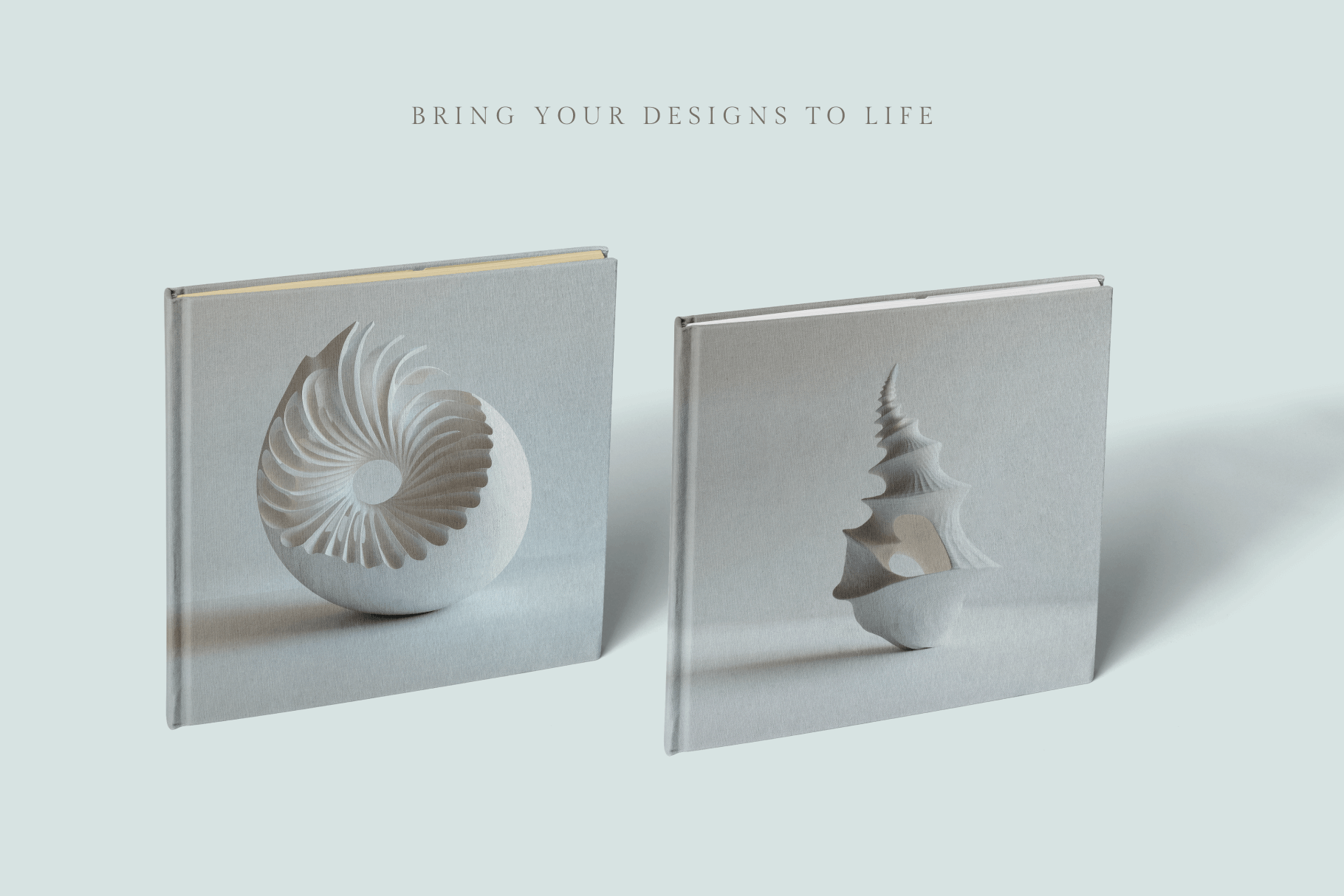 Seashells - Typedreams