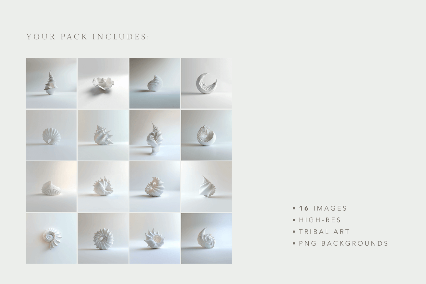 Seashells - Typedreams