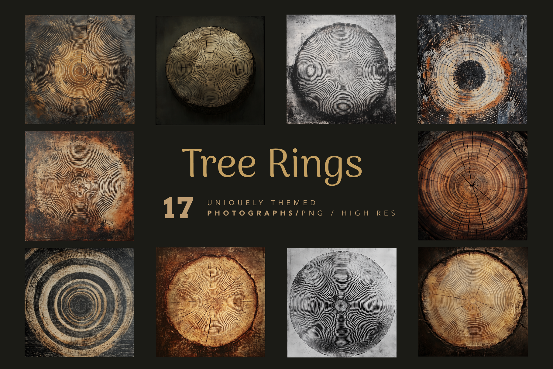 Tree Rings