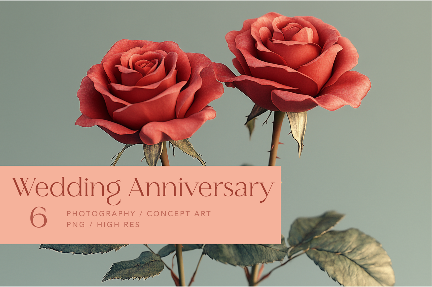 Wedding Anniversary