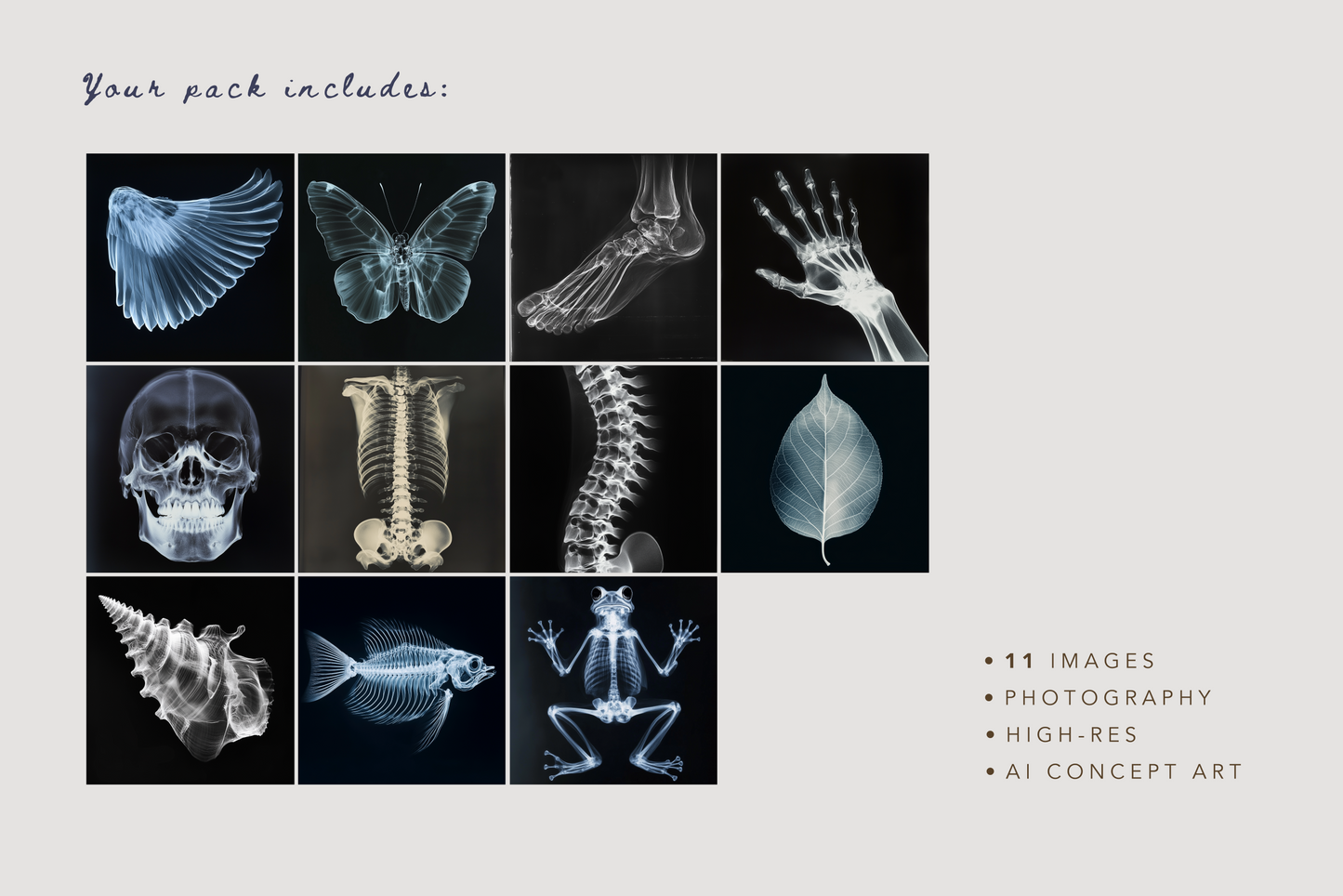 X-Ray Explorations - Stock Images