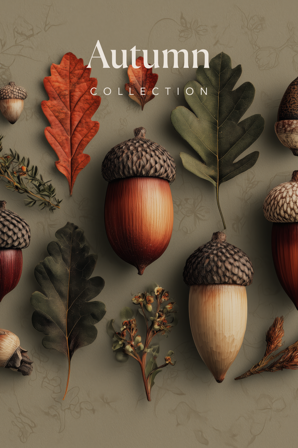 Autumn Collection