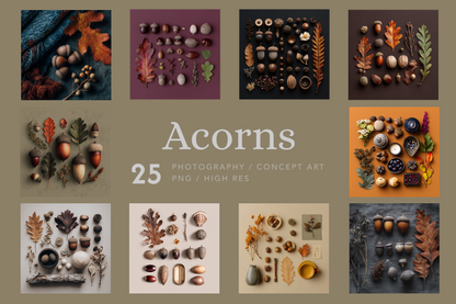 Collection of acorn and leaf arrangements with 'Acorns' text and product details.