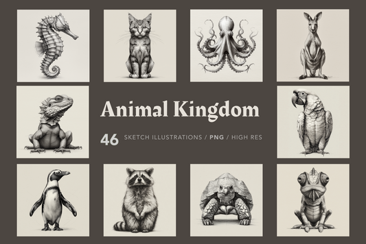 Collection of black and white animal illustrations with 'Animal Kingdom' text.