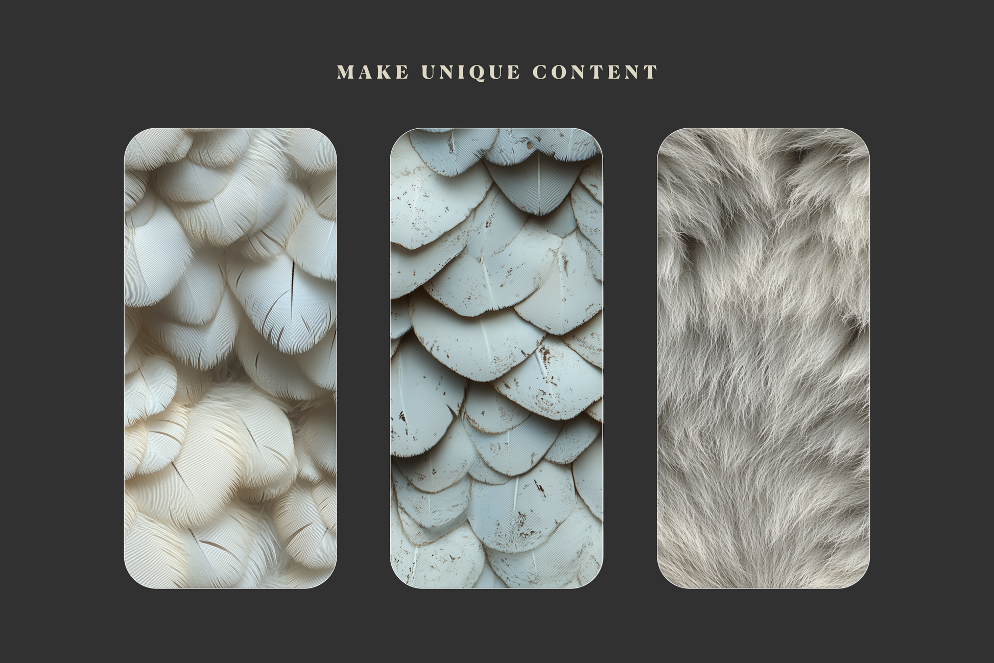 Animal Textures