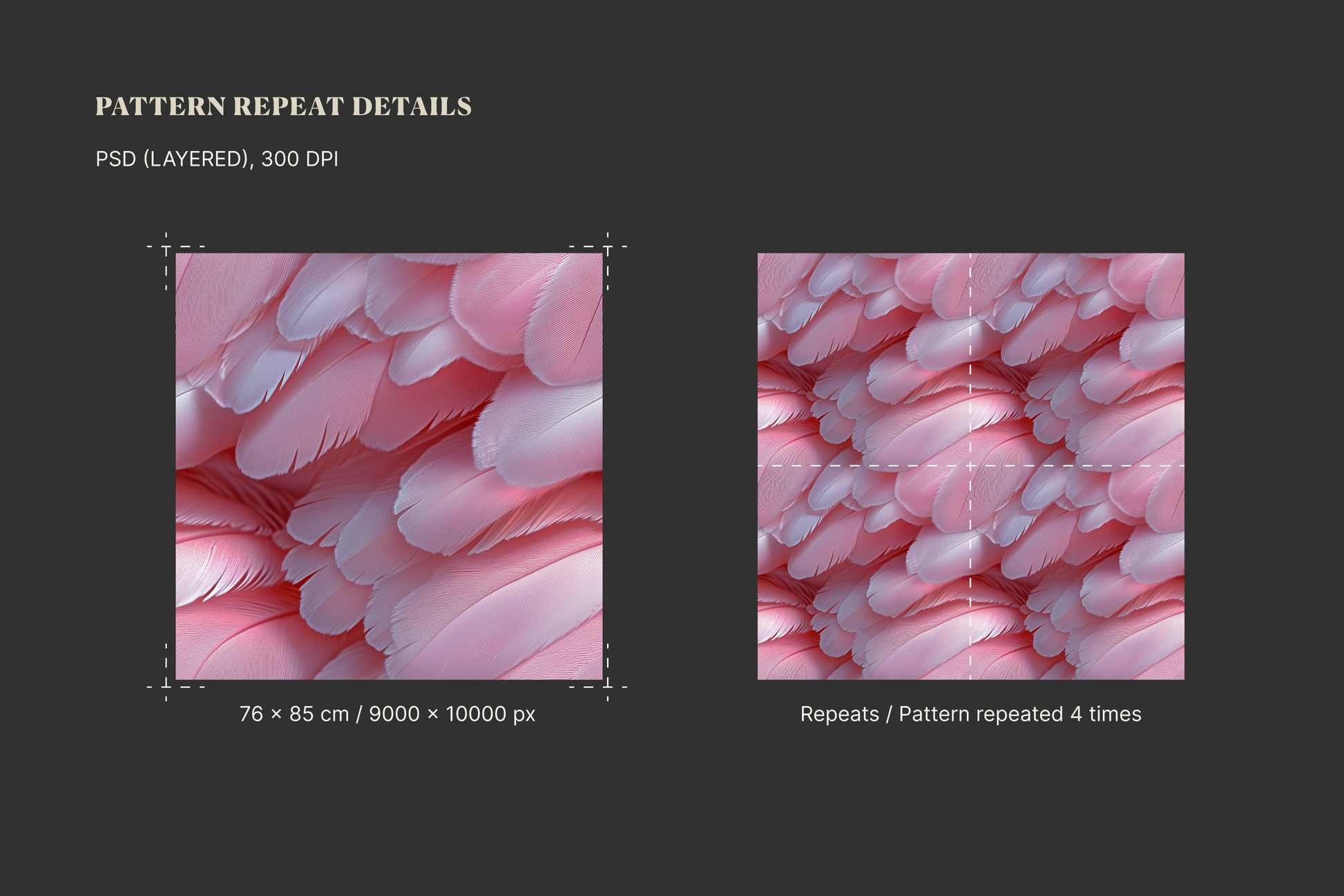Animal Textures