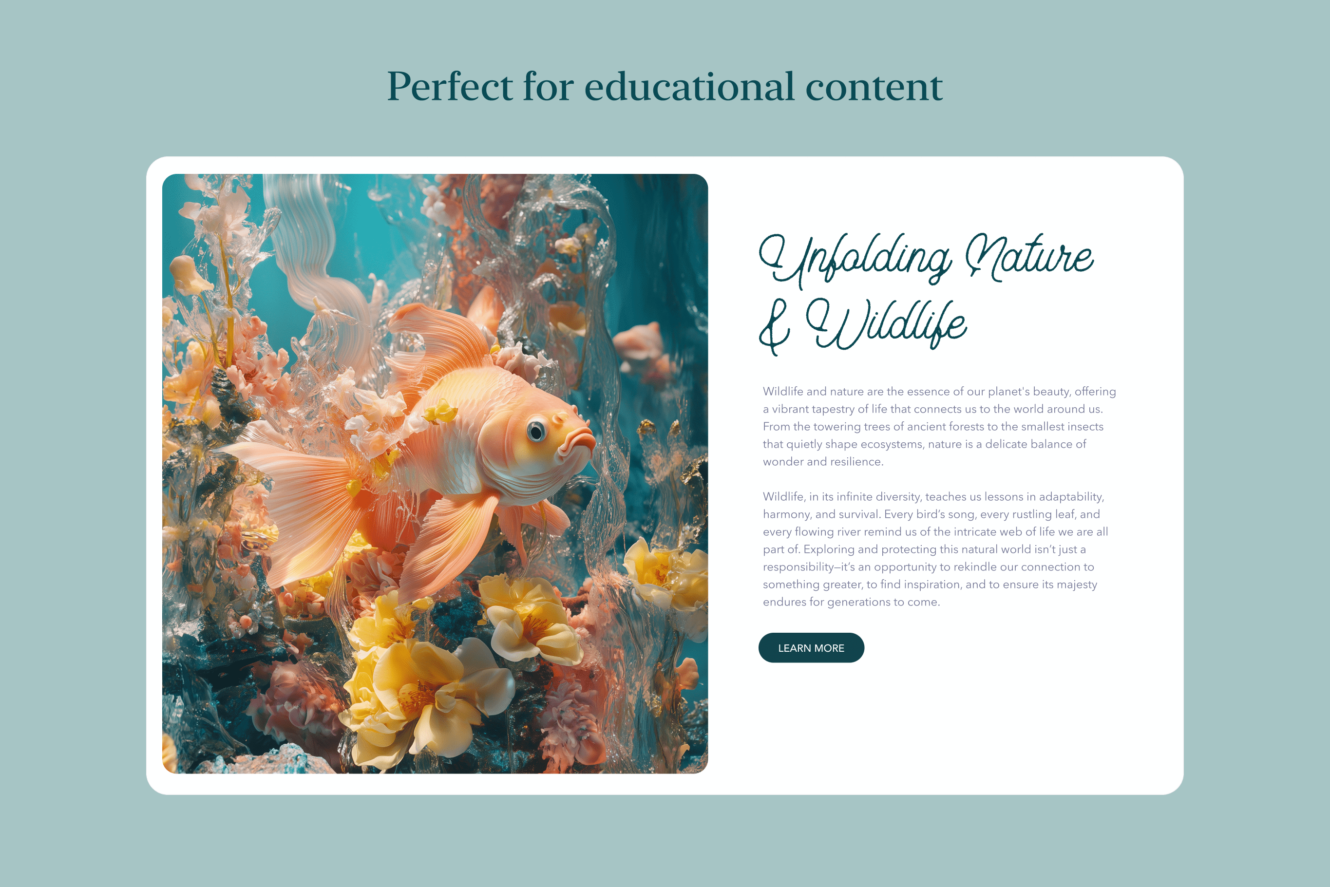 Aquarium - Stock Images