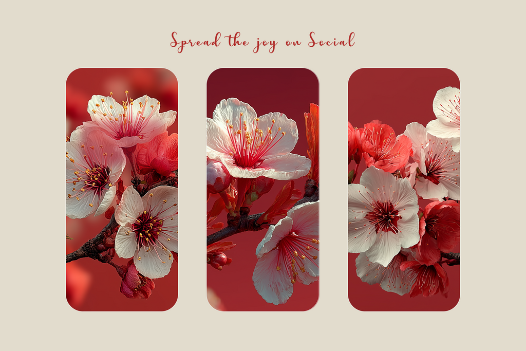 Cherry blossoms