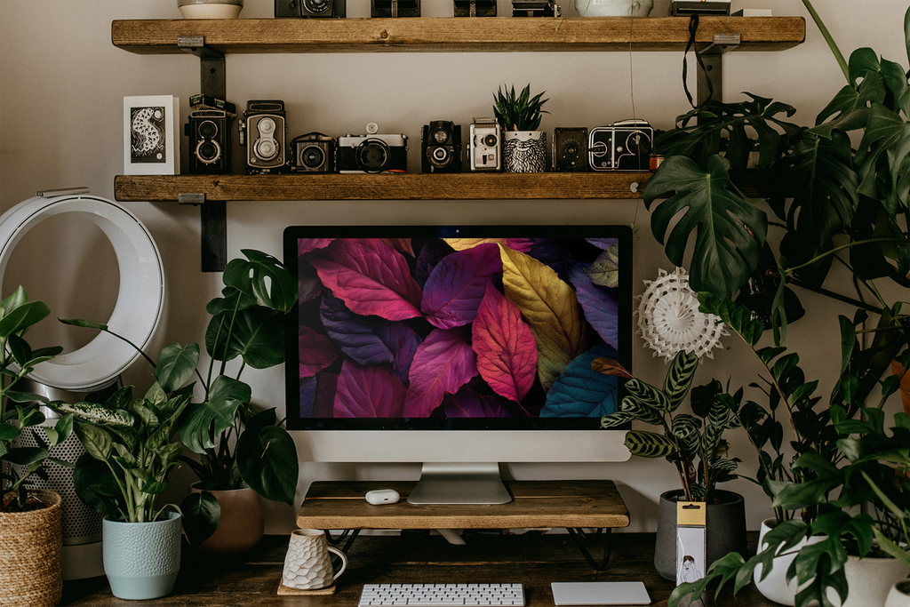 Colored Leaves
