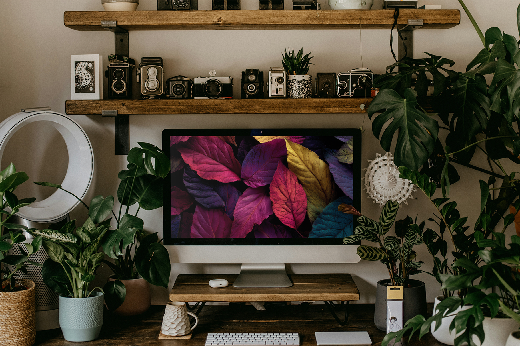 Colored Leaves