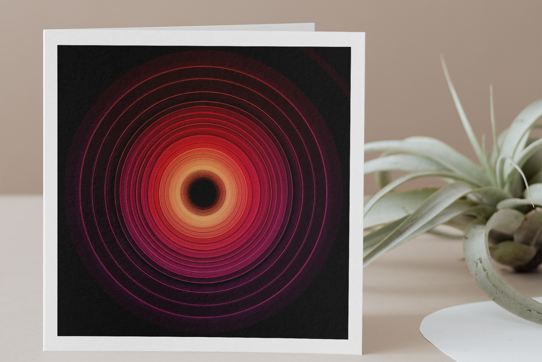 Framed abstract art with concentric circles on a table with a plant