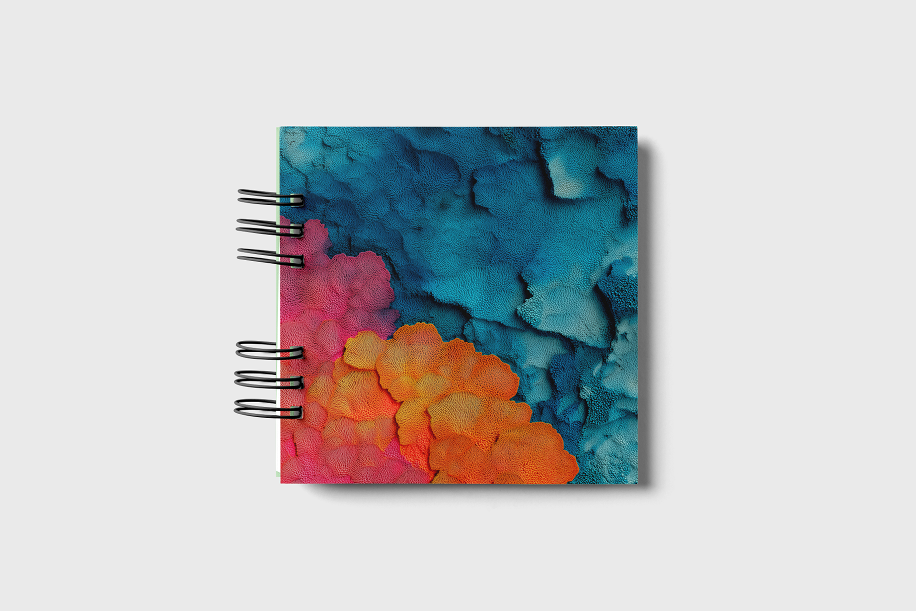 Coral Reef Textures