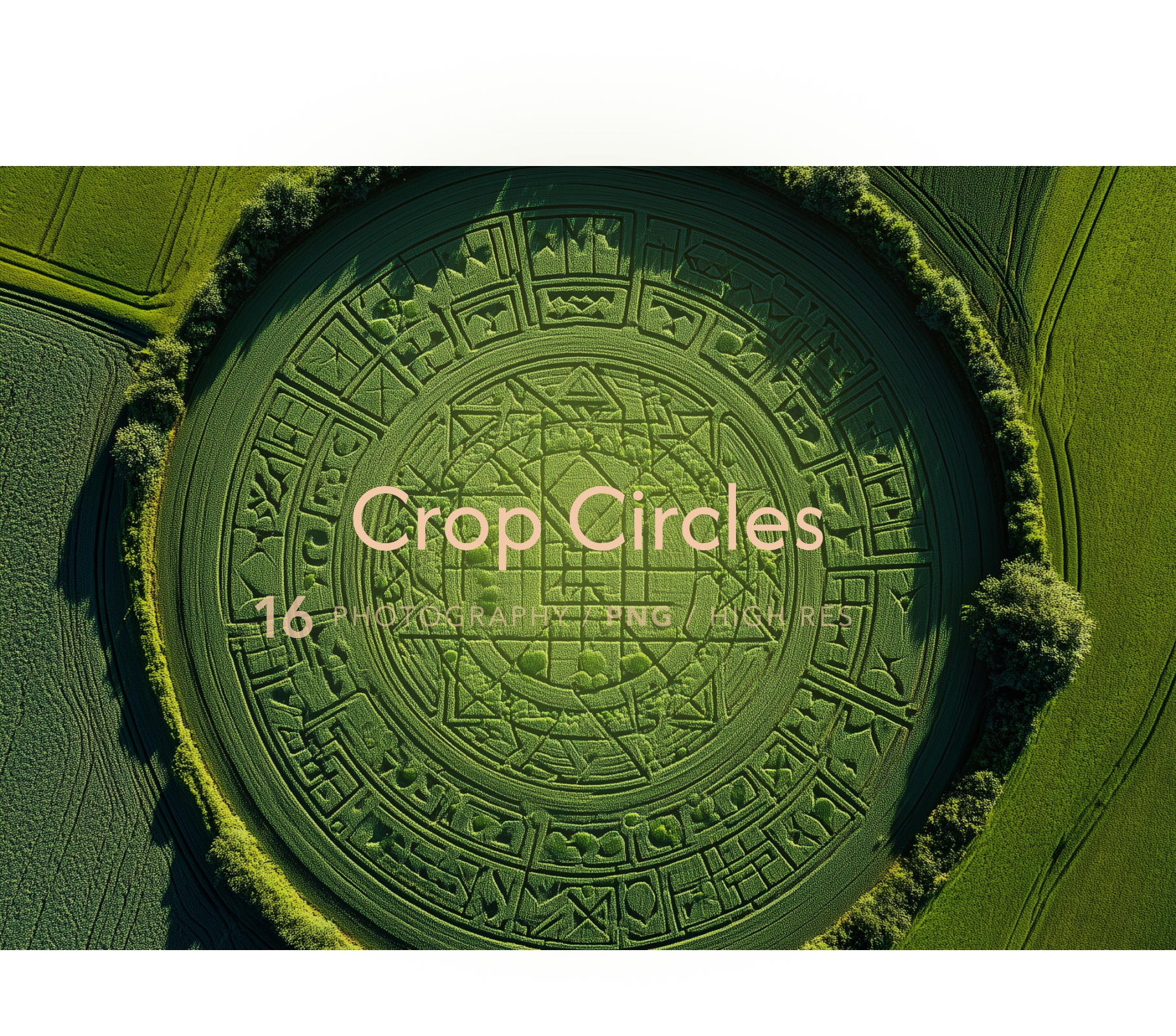 Crop Circles