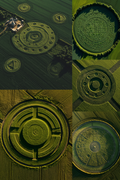 A collage of six aerial photographs showing circular and geometric crop patterns in green fields, with some panels featuring detailed close-ups of the field designs.