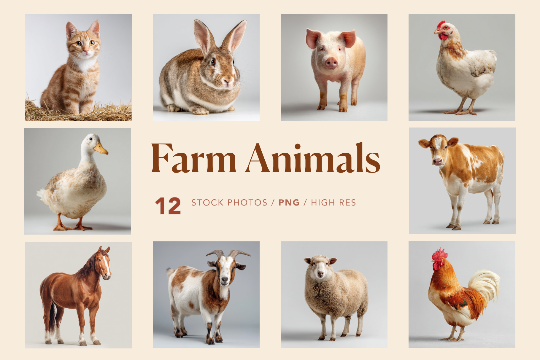 farm animals