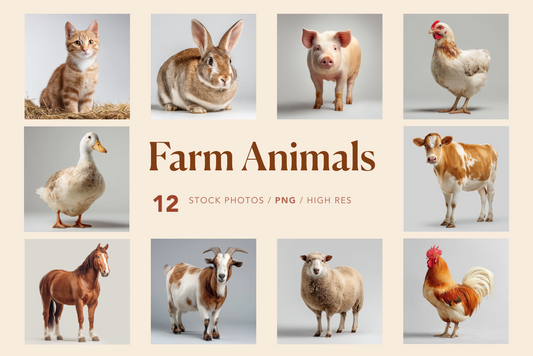 farm animals