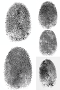 finger prints