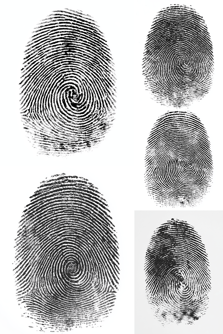 finger prints