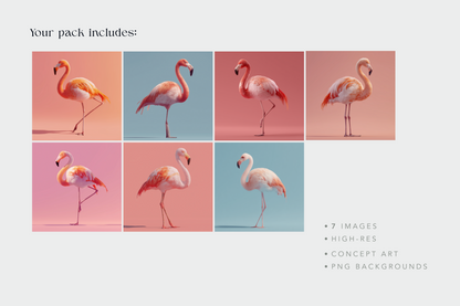 Set of flamingo images on different colored backgrounds with text indicating pack contents.