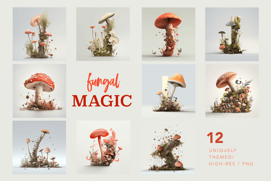 A series of illustrated forest mushrooms
