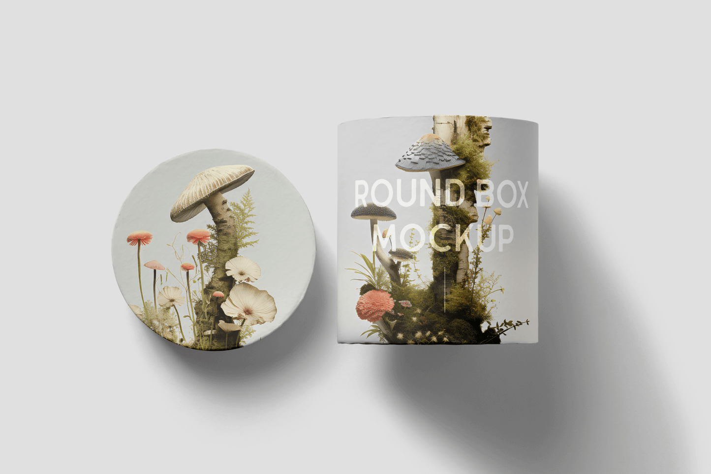 Packaging with illustrated forest mushrooms