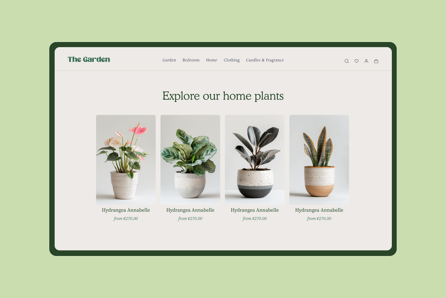 Home Plants - Typedreams  