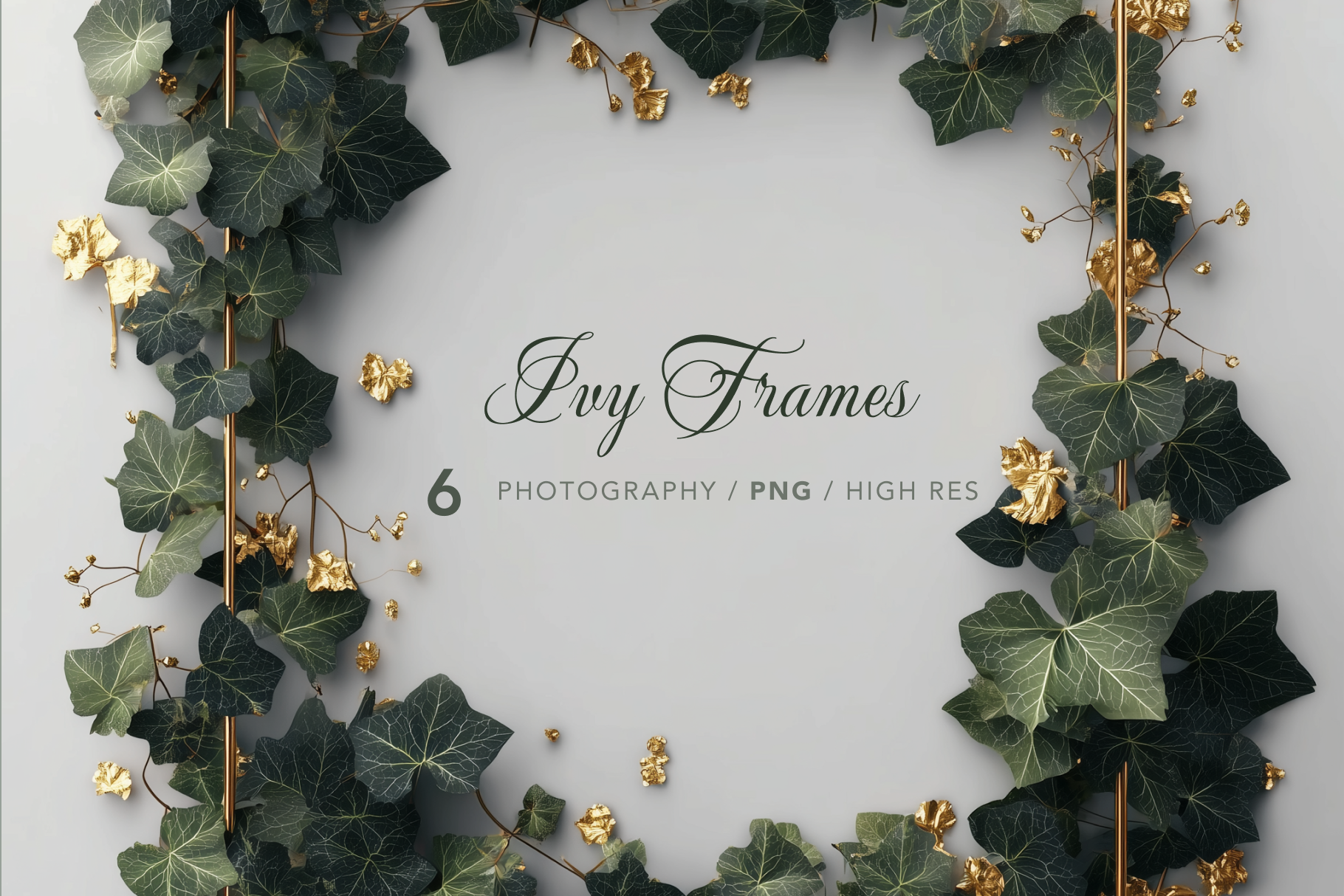 Ivy Frames