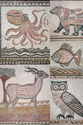 Mosaic Animals