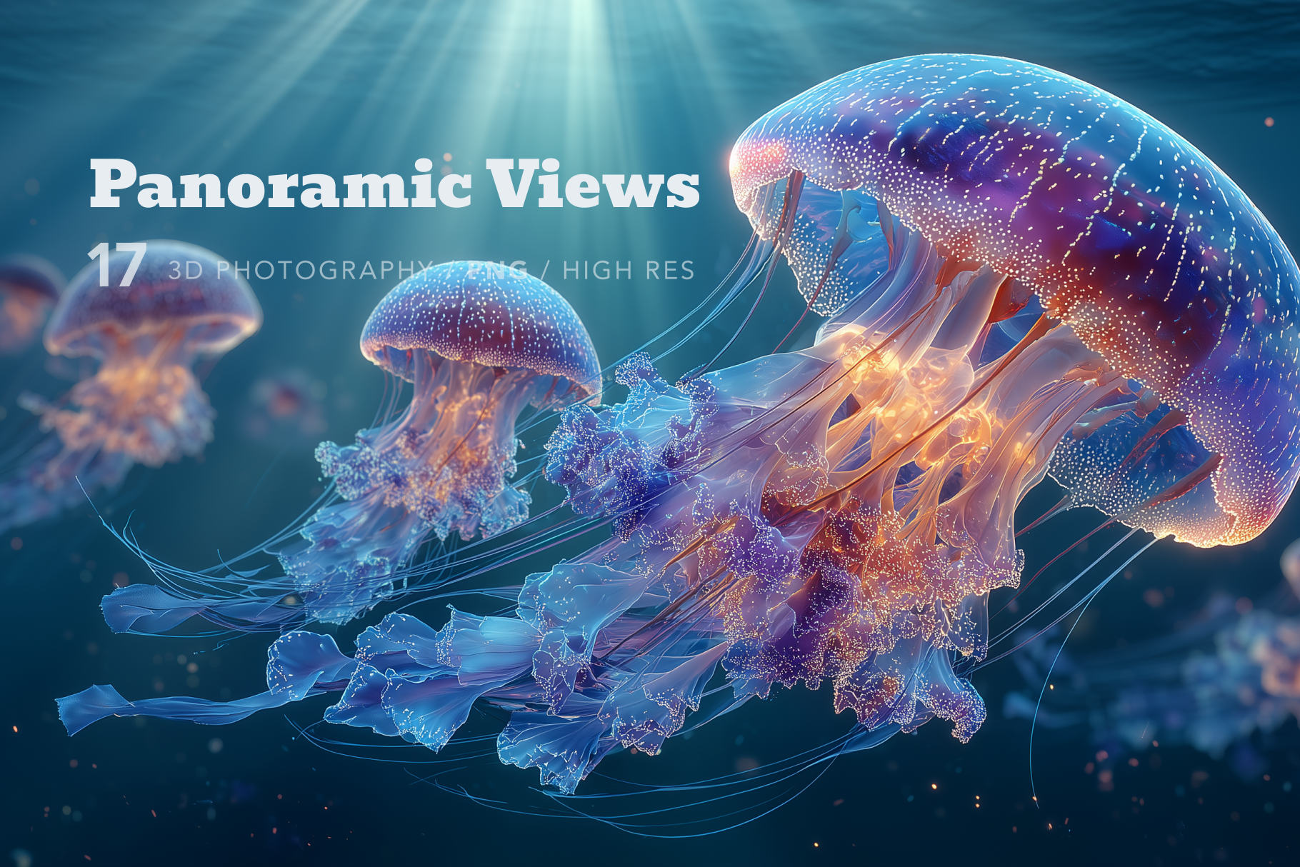 3D rendered jellyfish with 'Panoramic Views' text overlay