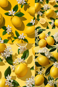 Pretty Lemons