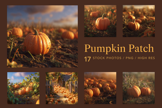 Promotional graphic for pumpkin patch stock photos with pumpkins in a field.