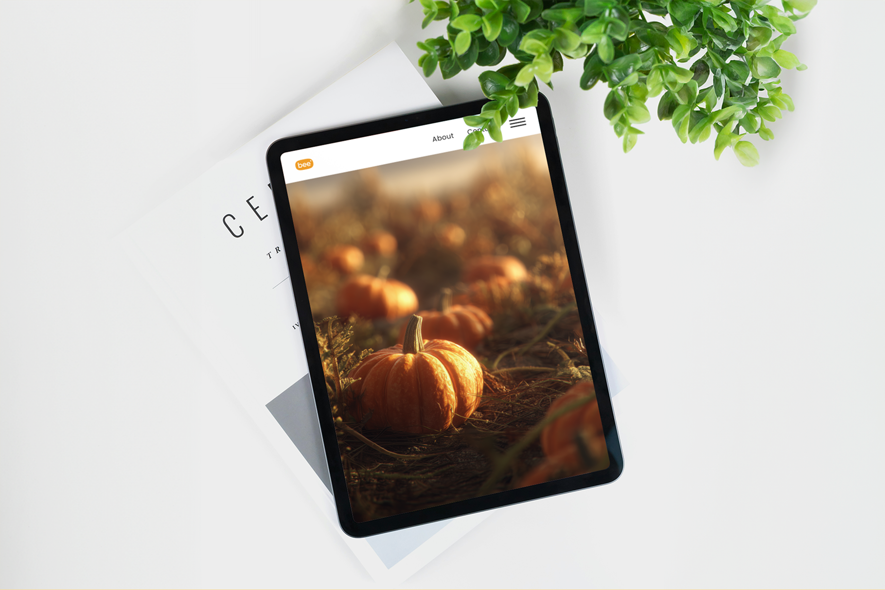 Tablet displaying an image of pumpkins on a white surface with a plant in the corner.