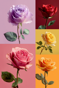 A collage of five roses in different colors: lavender, deep red, pale yellow, pink, and orange, each shown with green leaves against solid pastel and saturated background panels.