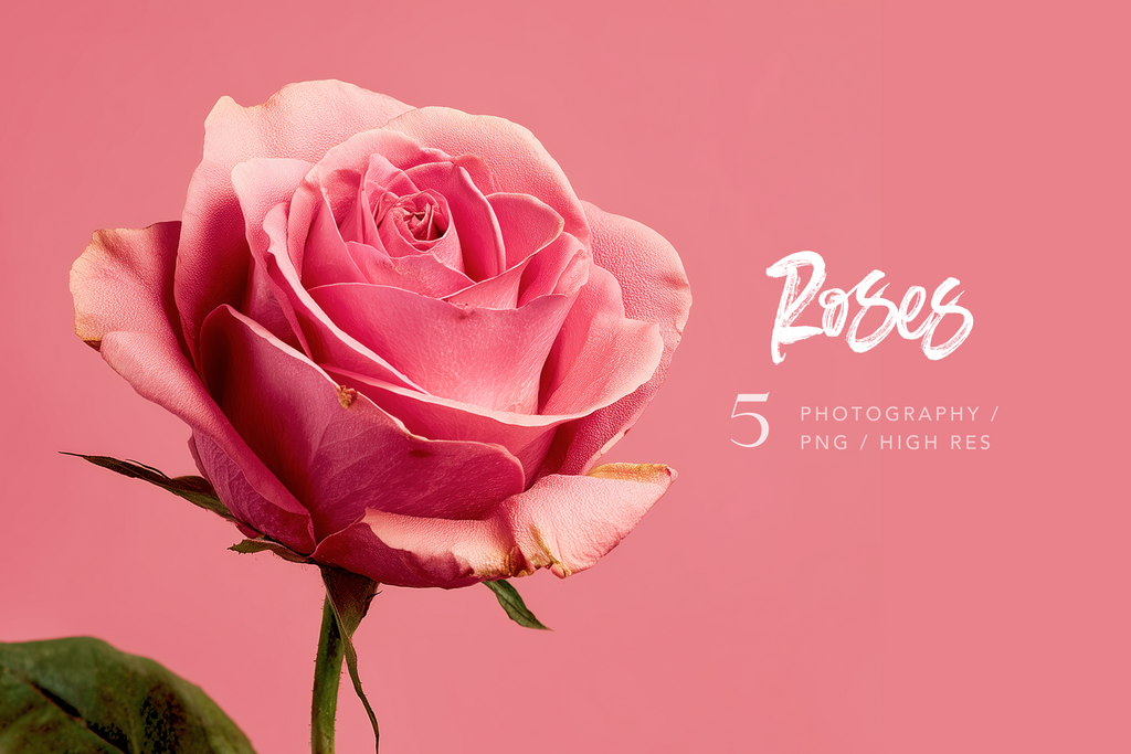 Roses