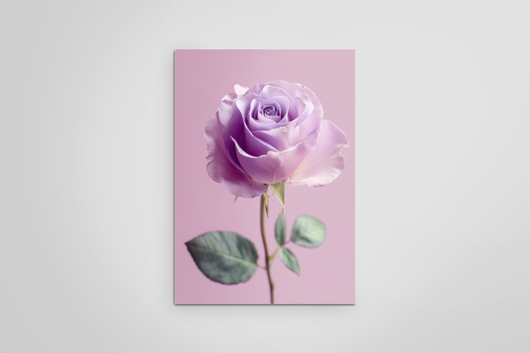 Roses