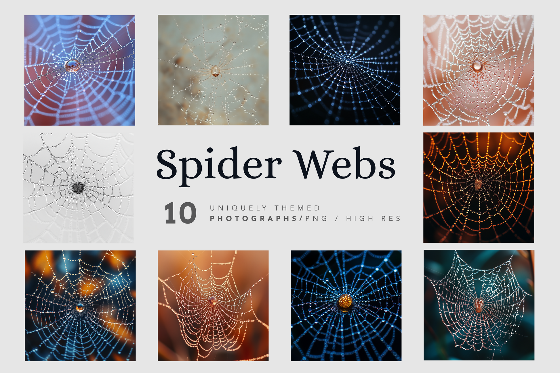 Spider Webs