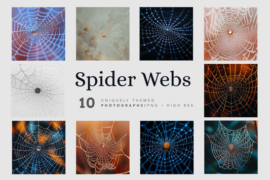 Spider Webs