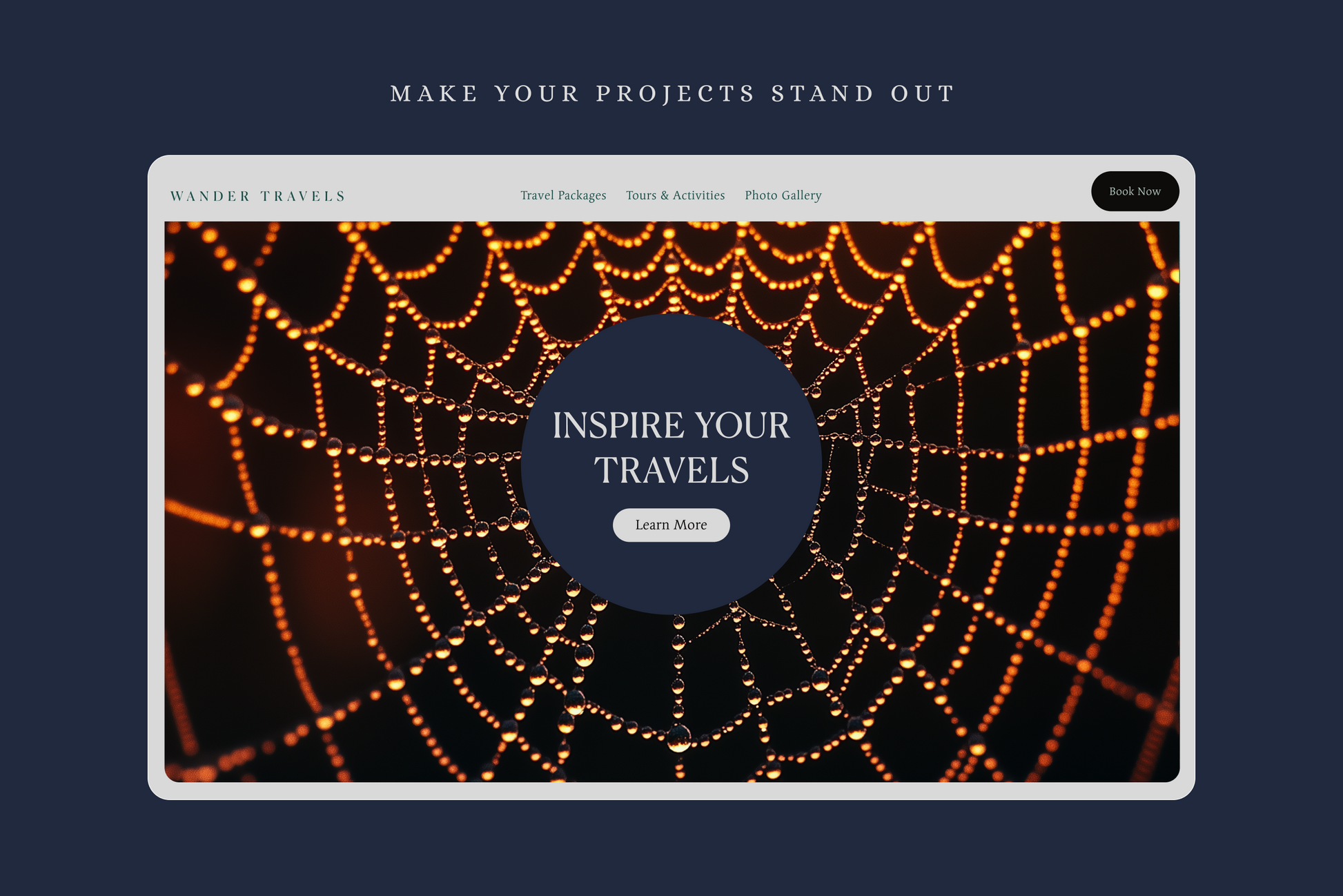 Spider Webs