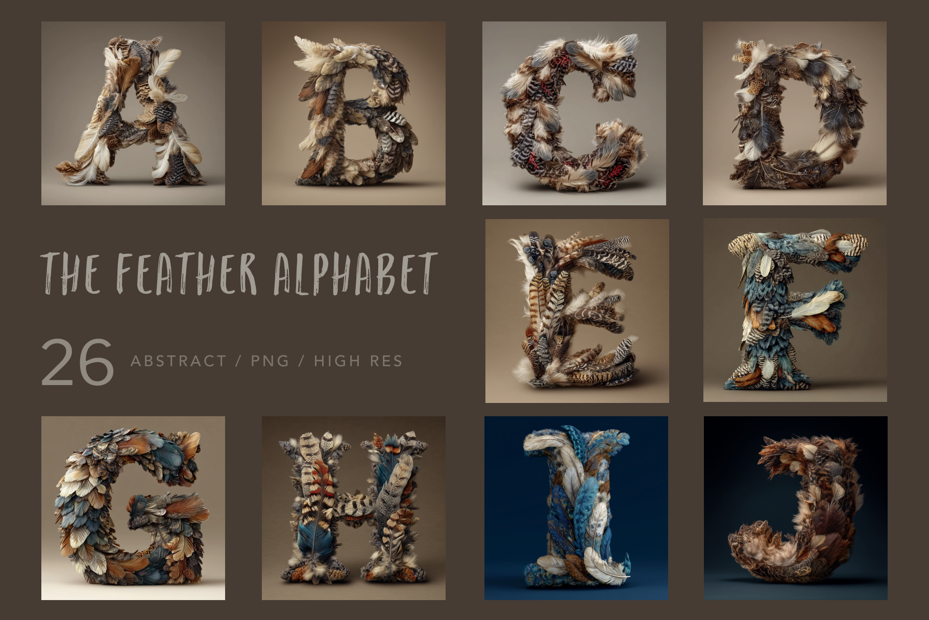 Feather alphabet letters displayed against a brown background